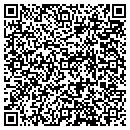 QR code with C S Executive Sedans contacts