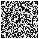 QR code with Premier View Inc contacts