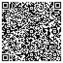 QR code with Pro Gods Inc contacts