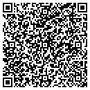 QR code with Systematize contacts