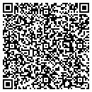 QR code with Pulse Resources Inc contacts