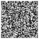 QR code with Cameron Solutions Inc contacts