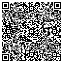 QR code with Pro Technics contacts