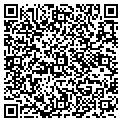 QR code with Dtailz contacts