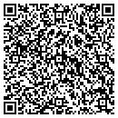 QR code with Carlos Salinas contacts