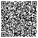 QR code with Divame contacts