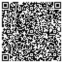 QR code with Public Storage contacts