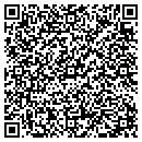 QR code with Carver Susie T contacts