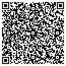 QR code with Blue River Associates contacts