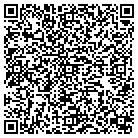 QR code with Brian W Barnes & CO Inc contacts
