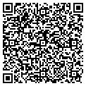 QR code with Vistek contacts