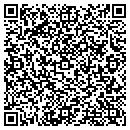 QR code with Prime Financial Access contacts