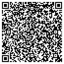 QR code with Progetti contacts