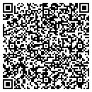 QR code with Pps Investment contacts