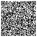 QR code with Cygnus Financial LLC contacts