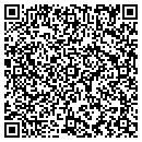 QR code with Cupcake Cleaners LLC contacts