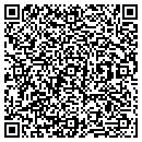 QR code with Pure Fin LLC contacts