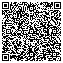 QR code with Precision Power Inc contacts