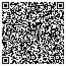 QR code with Blv Group Corp contacts