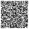 QR code with Phlearn contacts