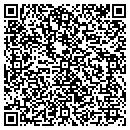 QR code with Progress Construction contacts
