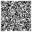 QR code with Cerny Jr Joseph C MD contacts