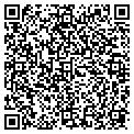 QR code with Synex contacts
