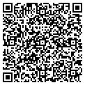 QR code with Amscot contacts