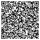 QR code with Critter Clues contacts