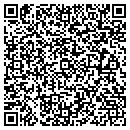 QR code with Protocole Corp contacts