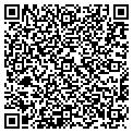 QR code with Insync contacts