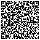 QR code with Blueline Investment contacts