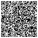 QR code with Professional Possibilities contacts