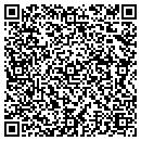 QR code with Clear View Installs contacts