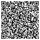 QR code with Profile Systems Inc contacts