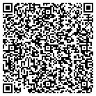 QR code with Pws Financial Group Inc contacts