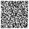 QR code with P G L contacts