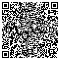QR code with Vector contacts