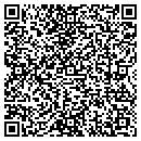QR code with Pro Financial Group contacts