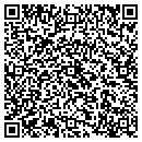 QR code with Precision Emg Pllc contacts