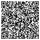 QR code with Pursenickety contacts