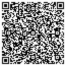 QR code with Prudential Financial contacts