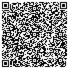 QR code with Pulsar Financial Services contacts