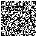 QR code with Miles contacts