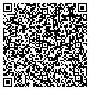 QR code with Craig B Larson contacts