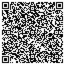 QR code with Premier Networking contacts