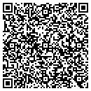QR code with Prototype Systems contacts