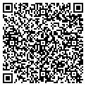 QR code with Navvis contacts