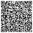 QR code with Blue Image Pools Inc contacts