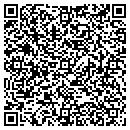 QR code with Pt &C Painting LLC contacts